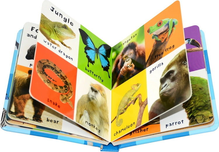 First 100 Animals Books for Kids Early Education