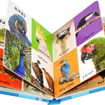 First 100 Animals Books for Kids Early Education