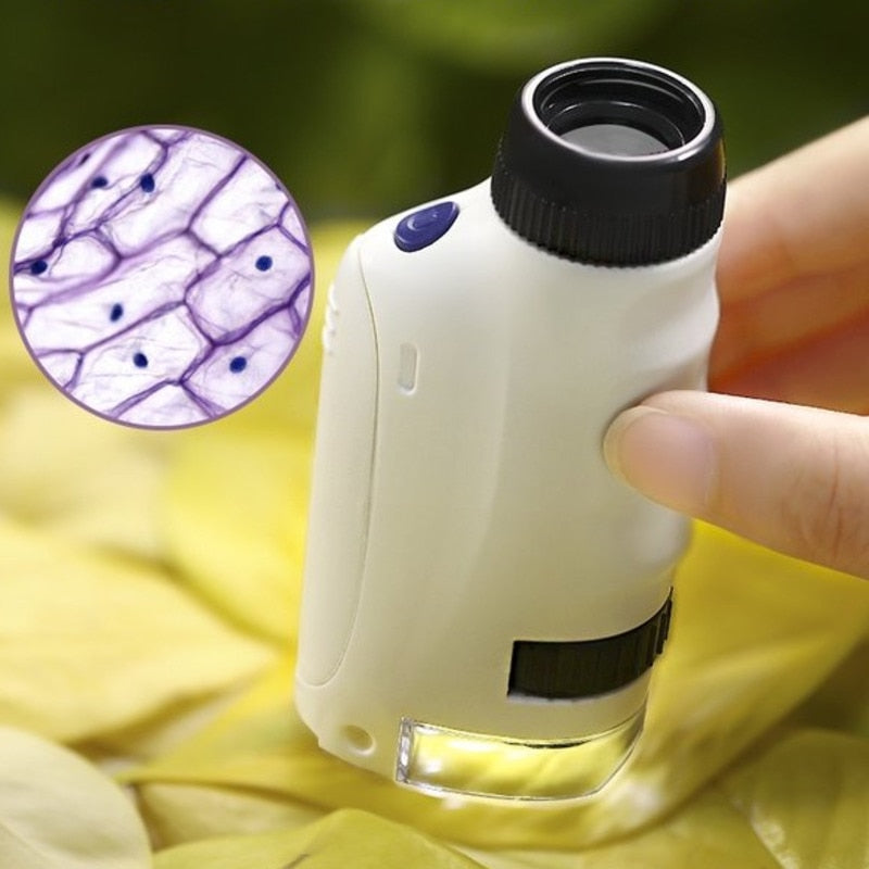 Handheld Microscope Kit Biological Science Educational Toys