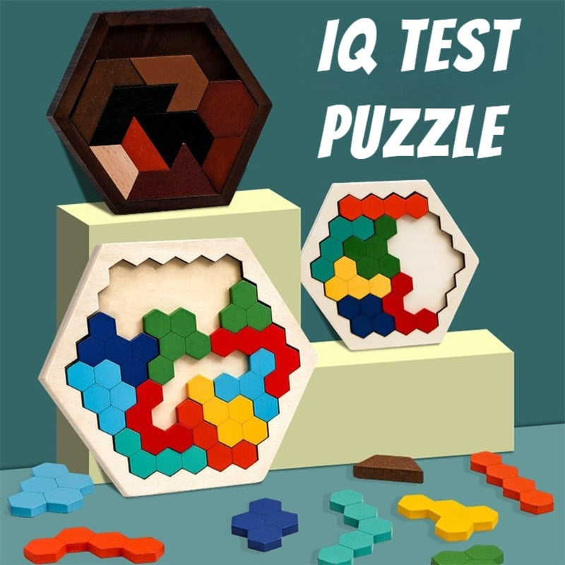 Hexagonal Wooden Puzzles IQ Game