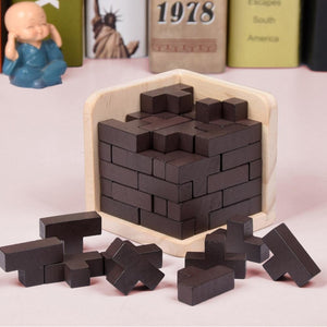 3D Wooden Puzzles IQ Toy