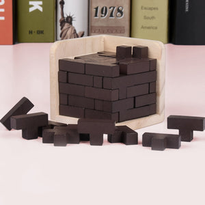 3D Wooden Puzzles IQ Toy