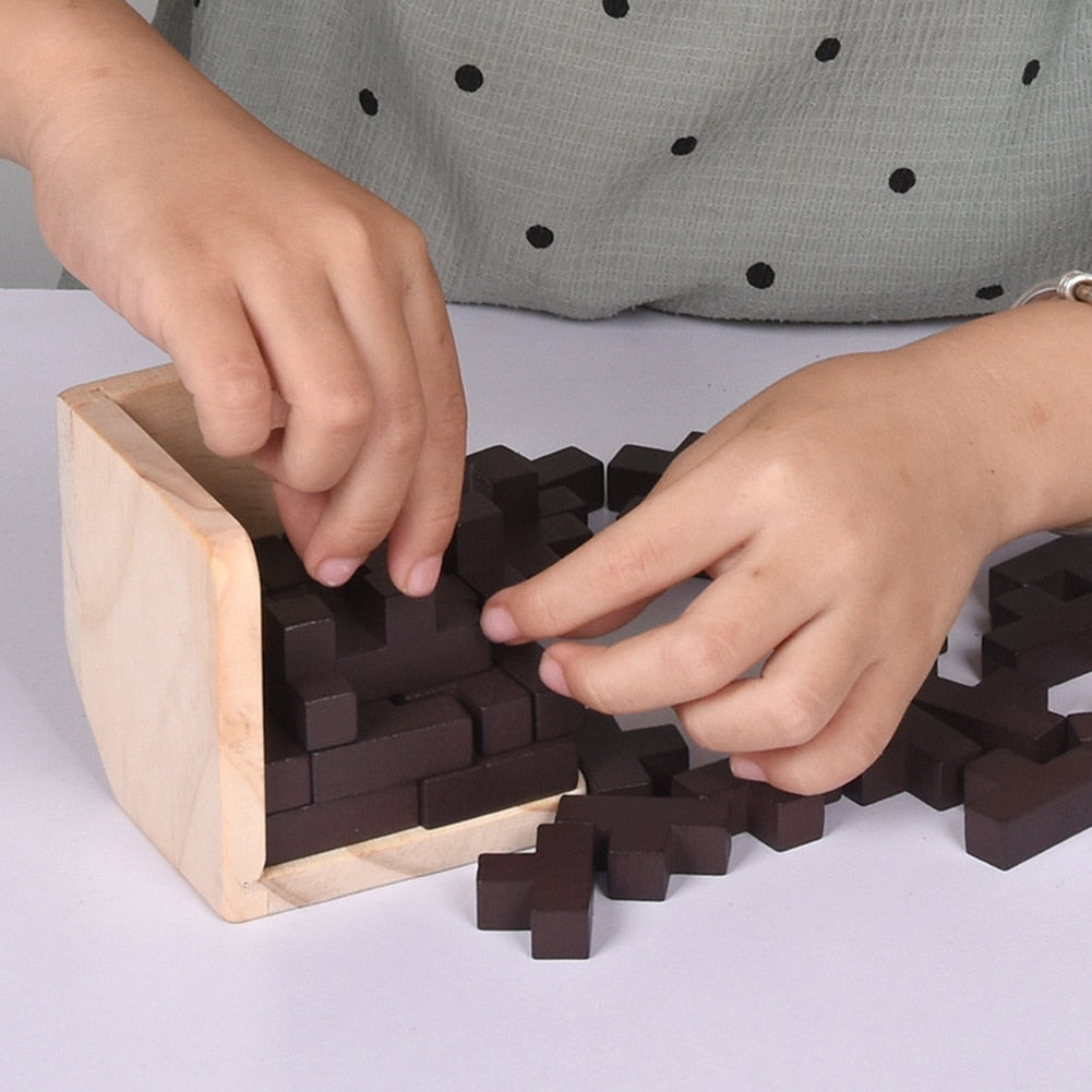 3D Wooden Puzzles IQ Toy