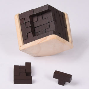 Guaishou 10-in-One 3D Small Wooden Puzzles Kongming Lock IQ Test Toy for  Teens and Adults