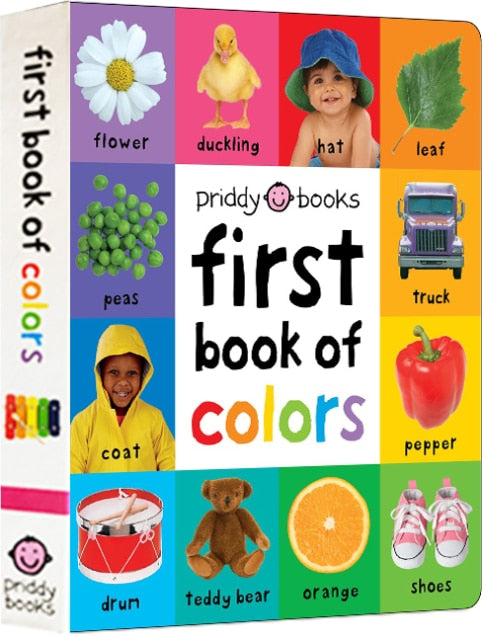 First 100 Animals Books for Kids Early Education